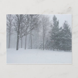 Michigan MI Winter Snow On The Trees Scene Postcard