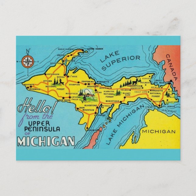 Michigan Penninsula 16x24 Map Postcard (Front)
