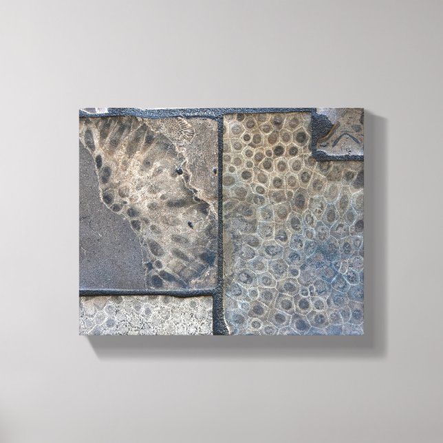 Michigan Petoskey Stone Canvas Print (Front)