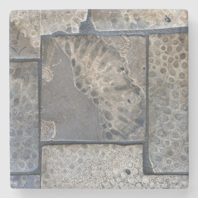 Michigan Petoskey Stone Coaster (Front)