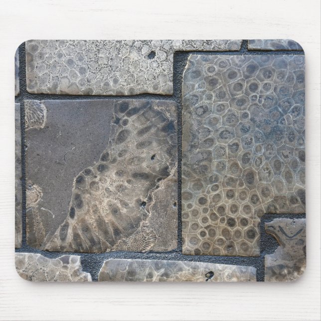 Michigan Petoskey Stone Design Mouse Mat (Front)