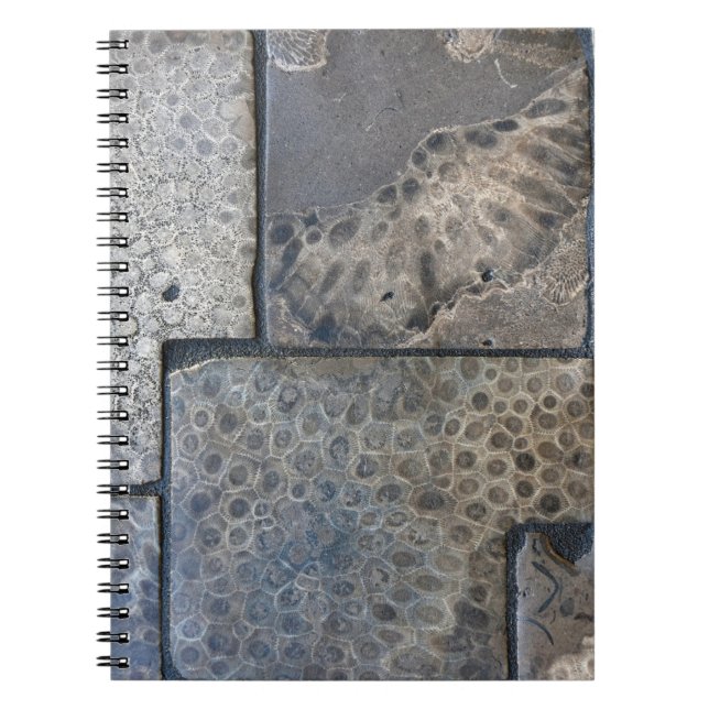 Michigan Petoskey Stone  Notebook (Front)