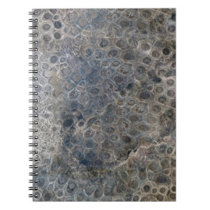 Michigan Petoskey Stone Pattern Notebook