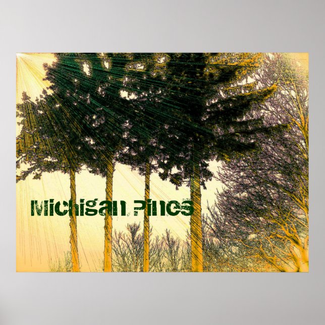 Michigan Pines Poster (Front)