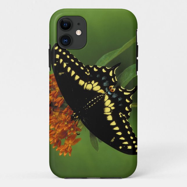 Michigan, Rochester. American Eastern Black Case-Mate iPhone Case (Back)