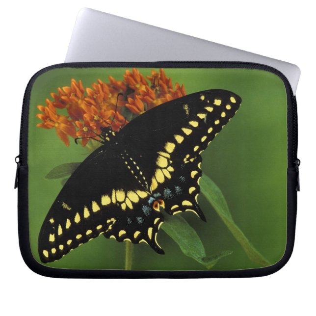 Michigan, Rochester. American Eastern Black Laptop Sleeve (Front)