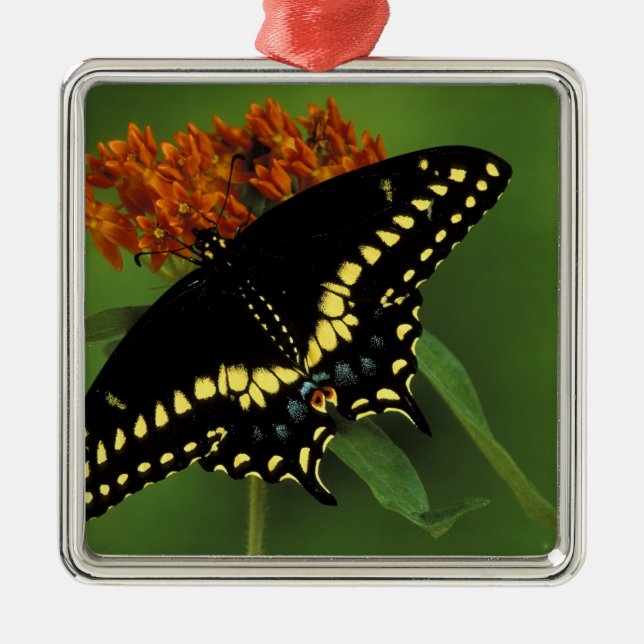 Michigan, Rochester. American Eastern Black Metal Tree Decoration (Front)