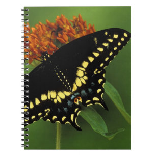 Michigan, Rochester. American Eastern Black Notebook