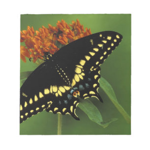 Michigan, Rochester. American Eastern Black Notepad