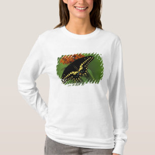 Michigan, Rochester. American Eastern Black T-Shirt