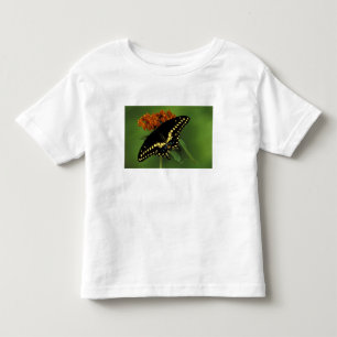 Michigan, Rochester. American Eastern Black Toddler T-Shirt