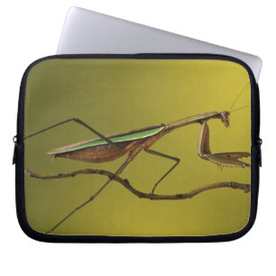 Michigan, Rochester Hills. Praying Mantis Laptop Sleeve