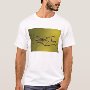 Michigan, Rochester Hills. Praying Mantis T-Shirt