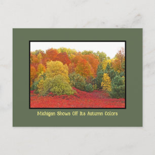 Michigan Shows Off It's Autumn Colours Postcard