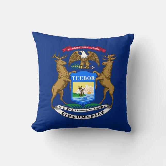 Michigan State Flag Cushion (Front)