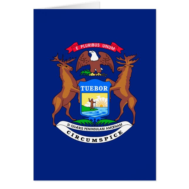Michigan State Flag Design (Front)
