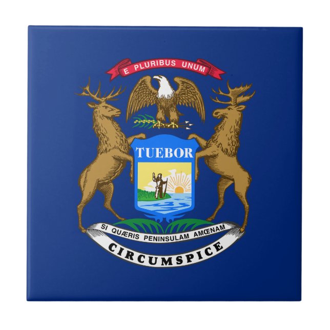 Michigan State Flag Tile (Front)