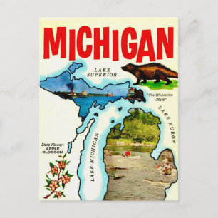 Michigan State Vintage Postcard