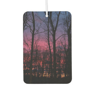 Michigan Sunset Car Air Freshener