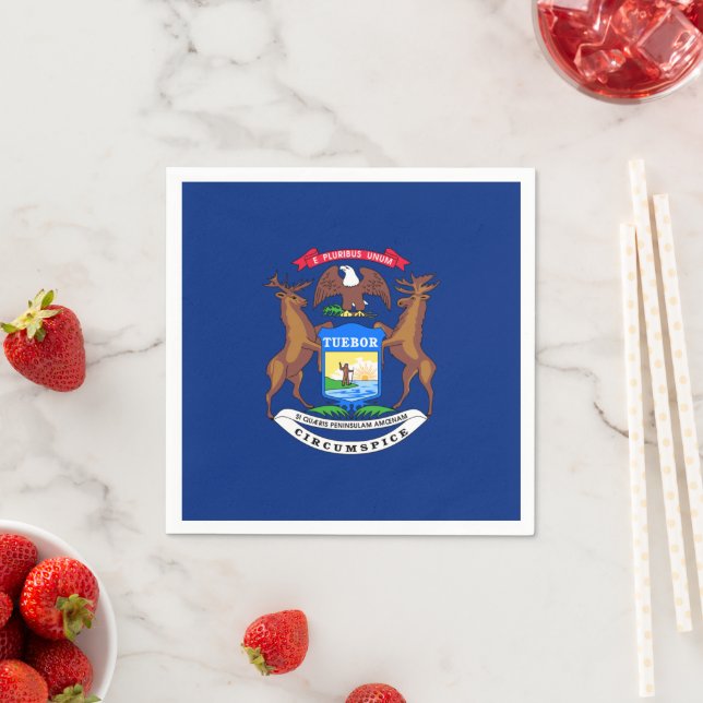 Michigander Flag, Flag of Michigan Napkin (Insitu)