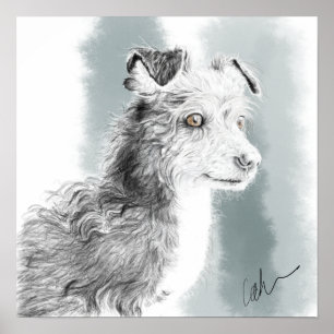 Mickey dog drawing poster