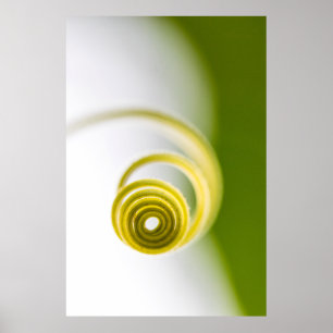 Micro photography of plant stem poster