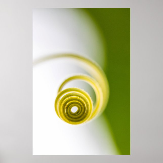 Micro photography of plant stem poster (Front)