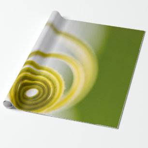 Micro photography of plant stem wrapping paper