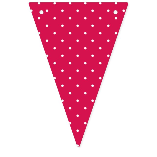 Micro Polka Dot White - Raspberry Red Bunting (First Flag)