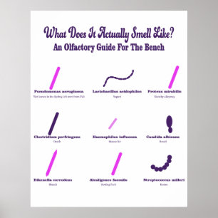 Microbiology Bench Olfactory Guide Poster