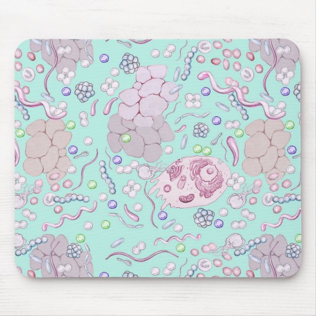 Microbiology in Blue Mouse Mat (Front)