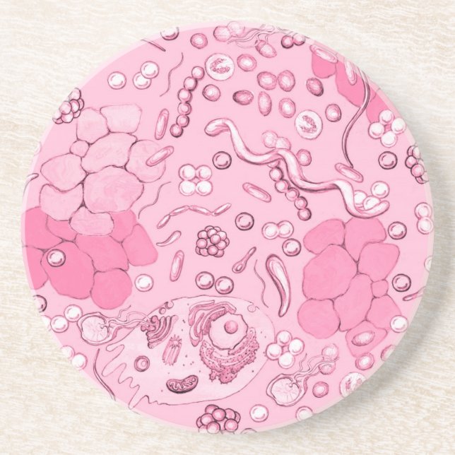 Microbiology In Pink Coaster (Front)