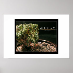 Microcosm Poster