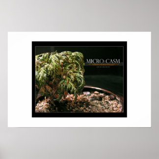 Microcosm Poster