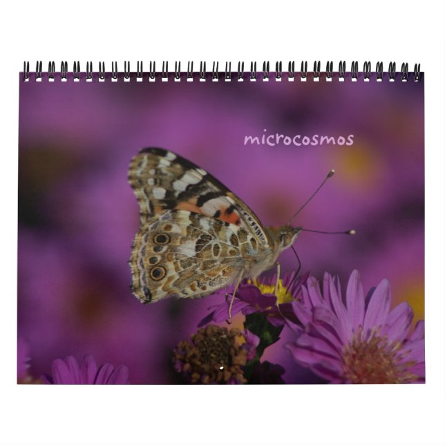 microcosmos calendar (Cover)