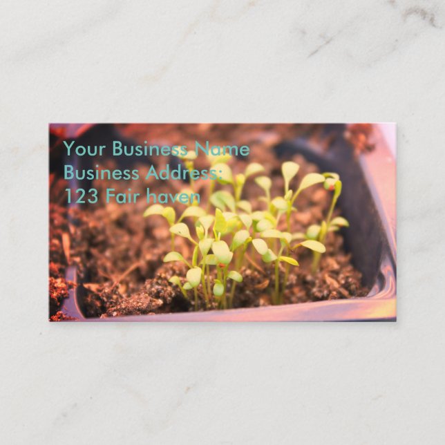 Microgreens Business Card (Front)