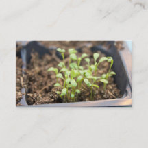 Microgreens