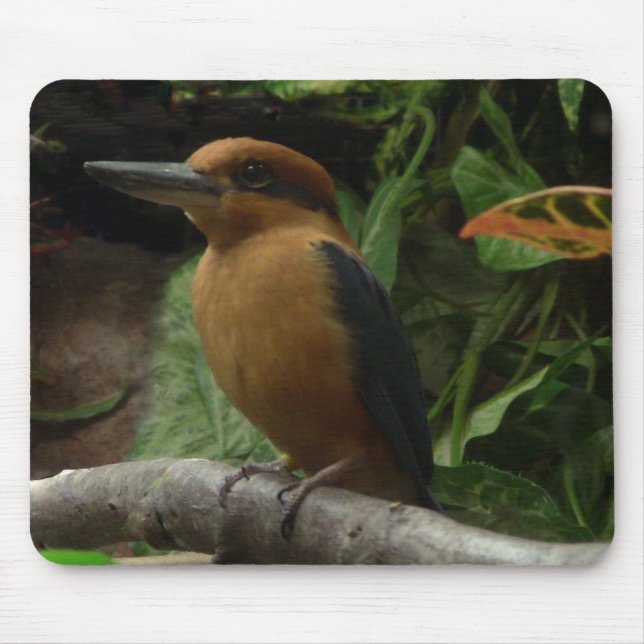 Micronesia Kingfisher Mouse Mat (Front)