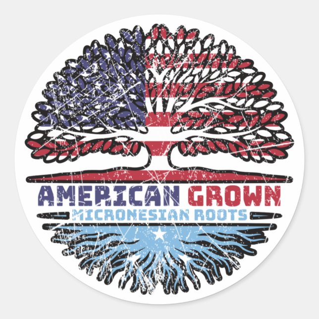 Micronesia Micronesian US American USA United Classic Round Sticker (Front)