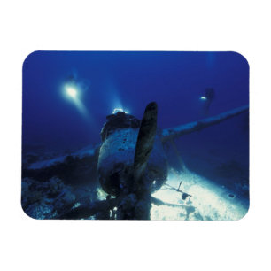 Micronesia, Palau, World Heritage Site. Divers Magnet