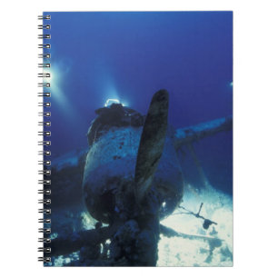 Micronesia, Palau, World Heritage Site. Divers Notebook