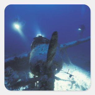 Micronesia, Palau, World Heritage Site. Divers Square Sticker