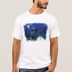 Micronesia, Palau, World Heritage Site. Divers T-Shirt