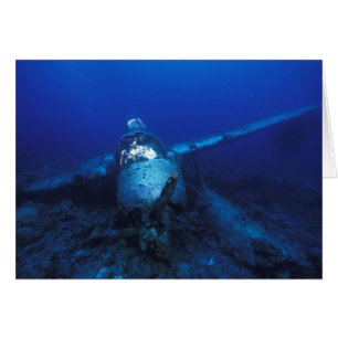 Micronesia, Palau, World Heritage Site. WWII