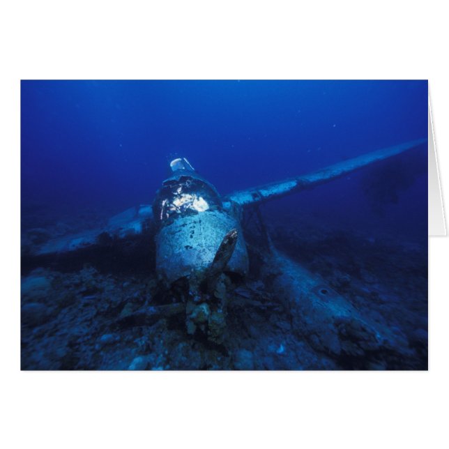 Micronesia, Palau, World Heritage Site. WWII (Front Horizontal)