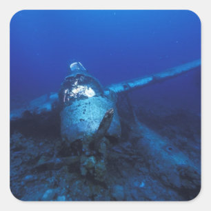 Micronesia, Palau, World Heritage Site. WWII Square Sticker