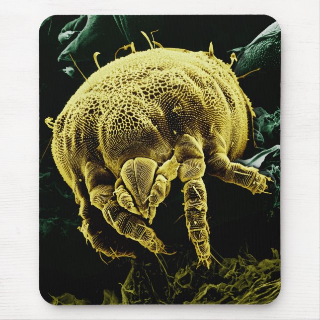 Microscopic Arthropod Acari Mite Lorryia Formosa Mouse Mat (Front)