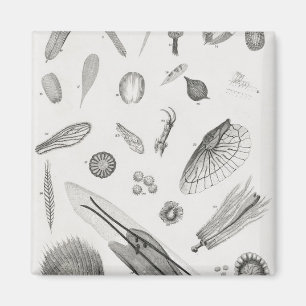 Microscopic Objects2 Magnet