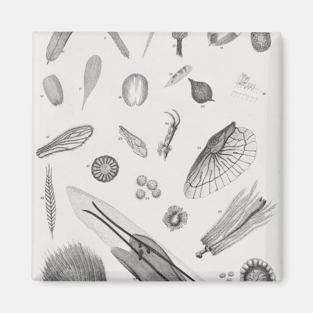 Microscopic Objects2 Magnet (Front)