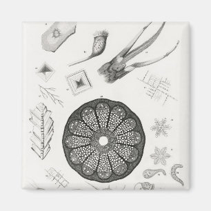 Microscopic Objects Magnet